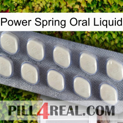 Power Spring Oral Liquid 08